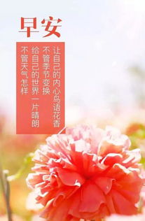 適合配風景的正能量的句子