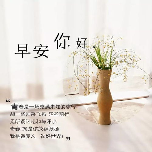 感恩的心句子正能量散文,護士感恩的心正能量句子,感恩的心簡短的句子
