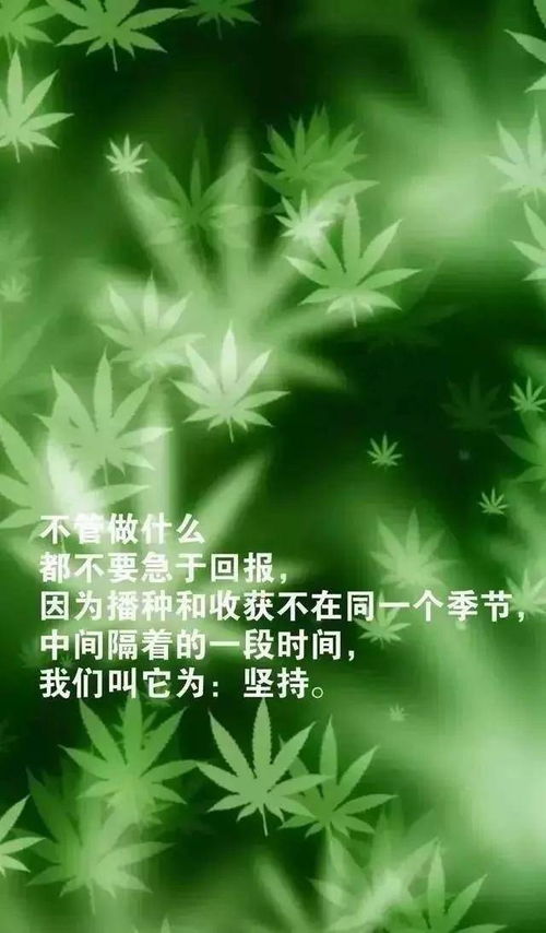 發(fā)朋友圈的句子正能量,發(fā)朋友圈的精美句子正能量,早晨的句子發(fā)朋友圈正能量