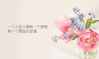 句子,能量,活著,開(kāi)心