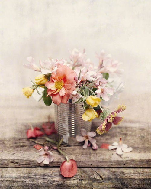 激勵上進(jìn)正能量句子,勵志有上進(jìn)心的正能量句子,有戰(zhàn)馬兩字,勵志有上進(jìn)心的正能量短句