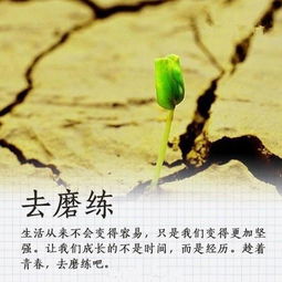 激勵(lì)女孩子精致的句子的正能量的話