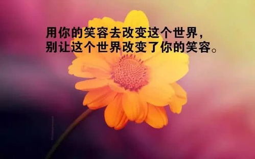 感恩生活正能量的句子說說