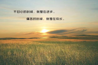 正能量句子勵(lì)志短句子,正能量滿滿的勵(lì)志句子,正能量句子勵(lì)志短句子朋友圈