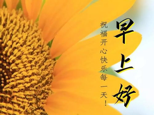 早安勵(lì)志正能量的句子,好心態(tài)早安正能量句子,早安語(yǔ)錄正能量的句子