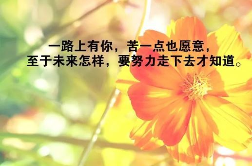 早晨語錄正能量句子