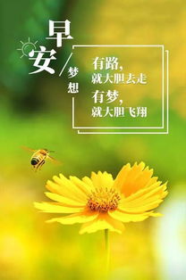 加油的句子正能量英語,勵志正能量英語句子,陽光心態(tài)正能量的句子英語