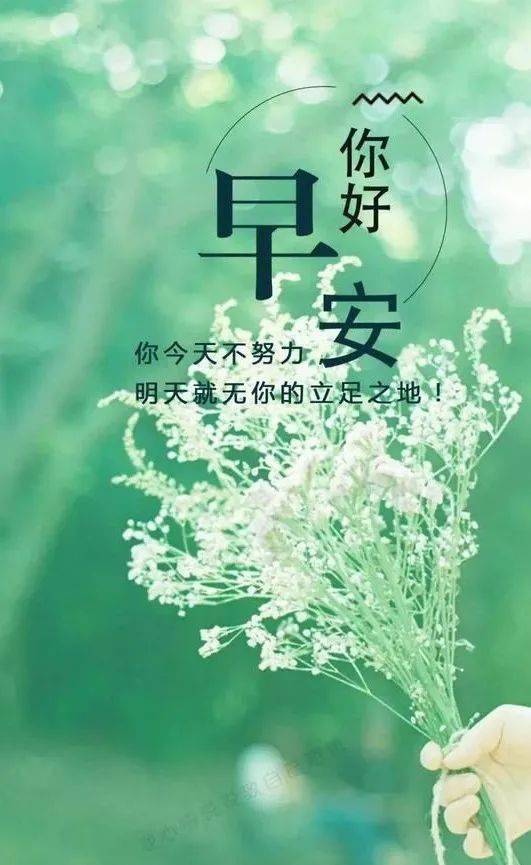 銷售正能量的句子經(jīng)典語句和感悟,志愿者正能量的句子經(jīng)典語句,追星正能量的句子經(jīng)典語句