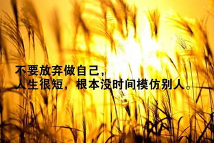 正能量自我認(rèn)知的句子
