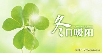 冬日暖陽正能量溫暖人心的句子,關于冬日暖陽的唯美句子,贊美冬日暖陽的句子