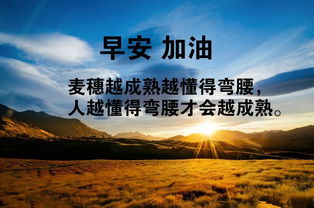 句子,勵(lì)志,海報(bào),能量
