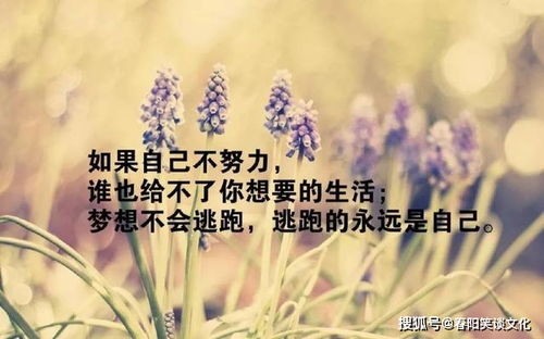 充滿工作正能量的句子,護膚正能量的句子簡短,女人愛美護膚正能量的句子