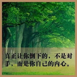 句子,能量,工作
