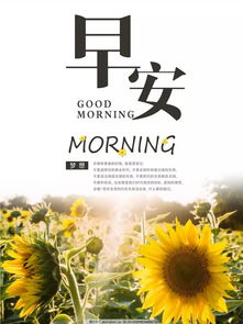 中秋節(jié),句子,能量,陽光