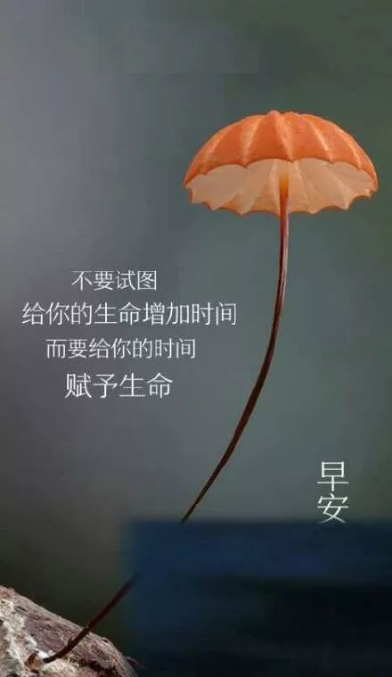 游泳正能量的句子短句,積極向上正能量的句子短句,陽光心態(tài)正能量的句子短句