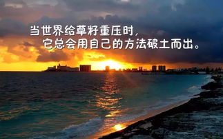 適合工作發(fā)的正能量句子