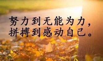 積極陽光正能量的勵(lì)志句子,陽光勵(lì)志正能量的句子發(fā)朋友圈,陽光勵(lì)志正能量的句子簡(jiǎn)短