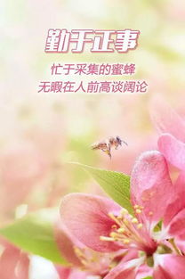 早安正能量勵(lì)志唯美句子,早安朋友圈正能量的唯美句子,早安說(shuō)說(shuō)正能量簡(jiǎn)短唯美句子