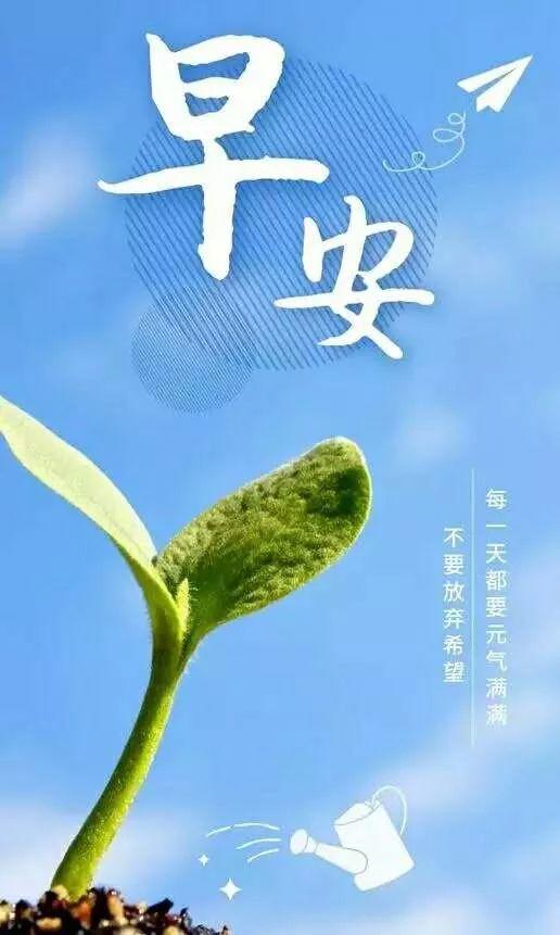 句子,能量,心態(tài)