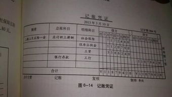 繳納社保為什么用其他應付款,繳納社保是其他應收款還是其他應付款,個人繳納社保會計科目