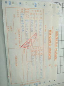 退耕還林,會計(jì)科目