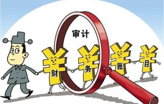 會計科目中的審計費指的是那些