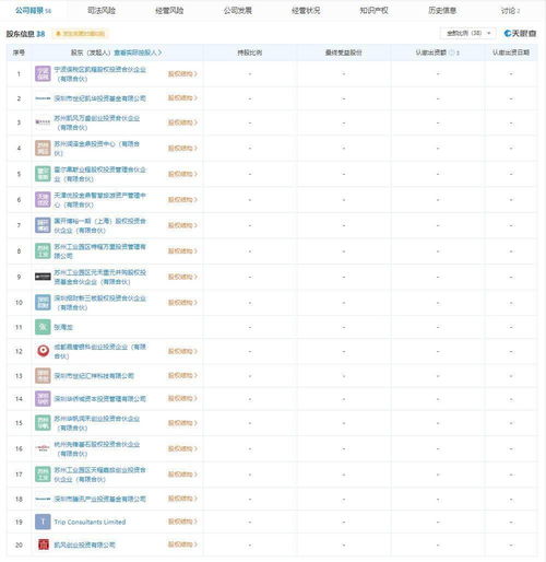 新公司會(huì)計(jì)科目怎么設(shè)置,注冊(cè)新公司的支出會(huì)計(jì)科目,新公司收到股東錢計(jì)入什么會(huì)計(jì)科目