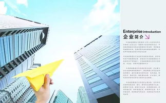 加工貿(mào)易企業(yè)會計(jì)科目