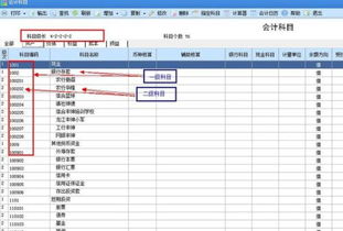 指定會(huì)計(jì)科目是確定什么的專管科目