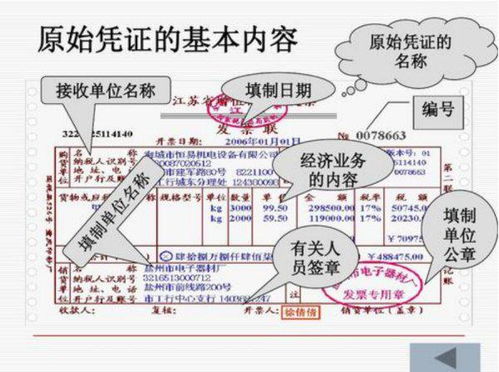 總預算,財政,會計科目,包括