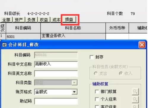 會(huì)計(jì)科目,設(shè)置