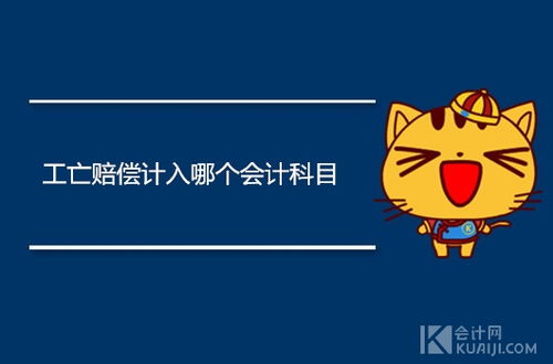 個人繳納社保會計科目,社保放哪個會計科目,社保個人部分會計科目