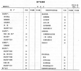 集體經(jīng)濟(jì),會計(jì)科目,農(nóng)村,組織