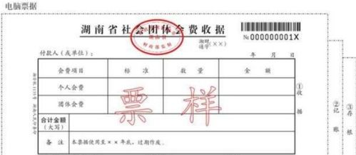 社會團體會計科目會費收入