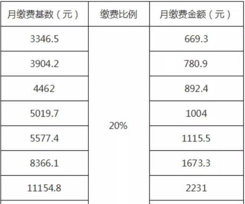 養(yǎng)老保險,會計科目
