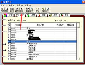 用友會計科目長度與分配原則