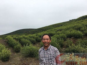 旅游費(fèi)的會(huì)計(jì)科目