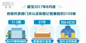 非營利性組織會計(jì)科目,公益組織會計(jì)科目,集體經(jīng)濟(jì)組織會計(jì)科目