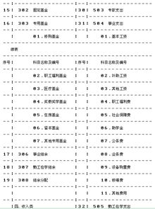 學(xué)校常用會(huì)計(jì)科目和分錄,學(xué)校賬務(wù)處理會(huì)計(jì)科目,民營(yíng)學(xué)校會(huì)計(jì)科目
