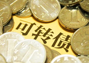 會(huì)計(jì)科目,公司