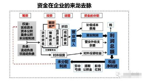 自有資金,會計科目