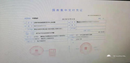 支付,財(cái)政,會(huì)計(jì)科目,歸集