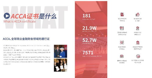 以使用的會計(jì)科目可以增加下級科目