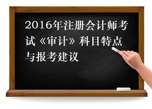 審計(jì),會(huì)計(jì)科目,建議