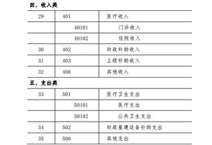 基層醫(yī)療機(jī)構(gòu)會(huì)計(jì)科目明細(xì)