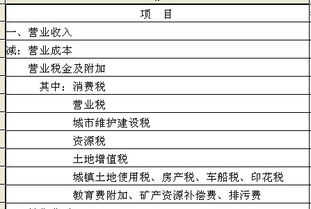 計提個稅進哪個會計科目