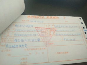 退耕還林會計(jì)科目