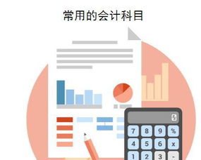 核算,會計科目,內(nèi)容