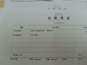 金碟財(cái)務(wù)軟件會(huì)計(jì)科目代碼