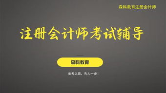 攤余成本會計(jì)科目